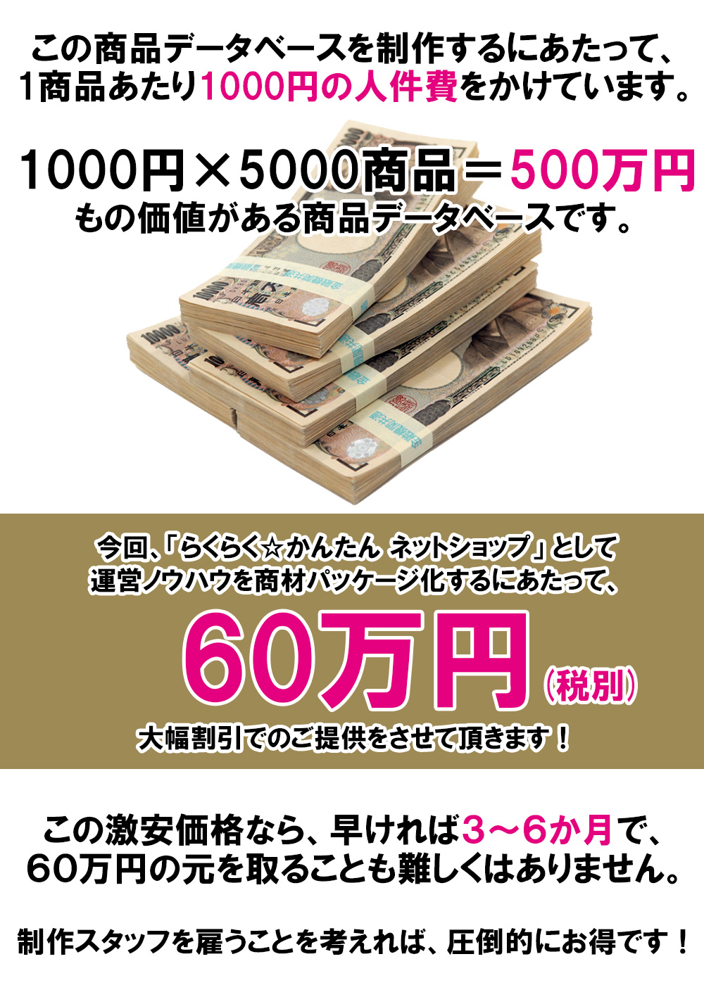 今回、「らくらく☆かんたんネットショップ」として運営ノウハウを商材パッケージ化するにあたって、60万円()万円